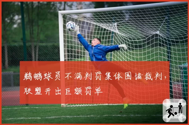 鹈鹕球员不满判罚集体围堵裁判，联盟开出巨额罚单