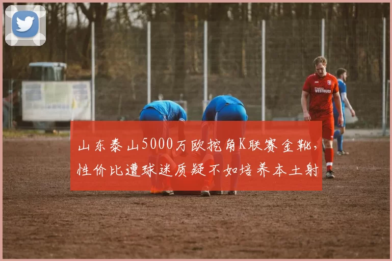 山东泰山5000万欧挖角K联赛金靴,性价比遭球迷质疑不如培养本土射手