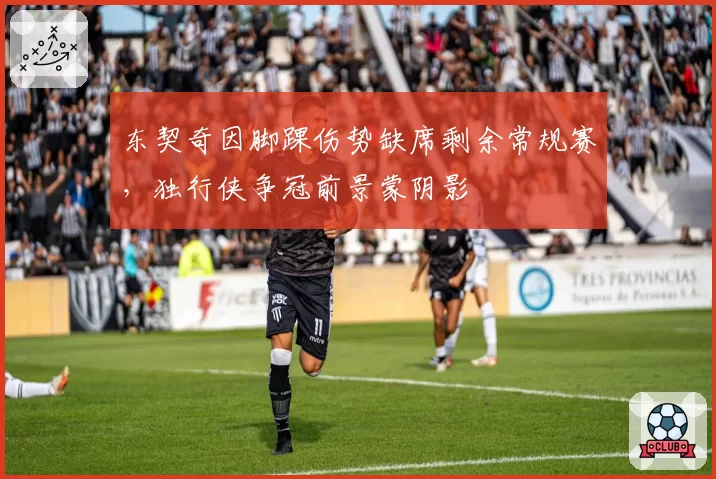 东契奇因脚踝伤势缺席剩余常规赛,独行侠争冠前景蒙阴影
