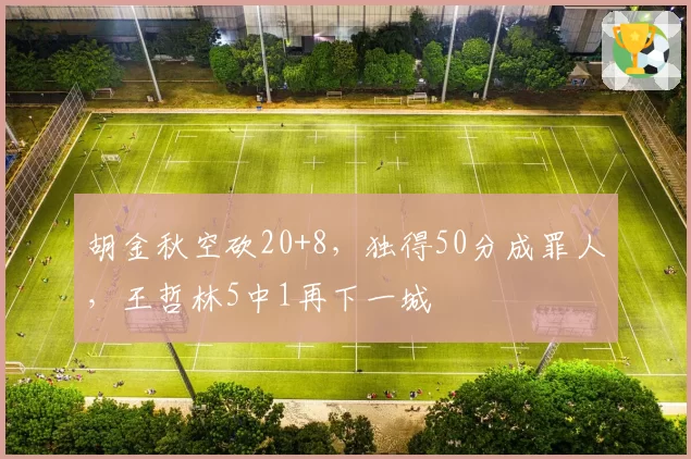 胡金秋空砍20+8，独得50分成罪人，王哲林5中1再下一城